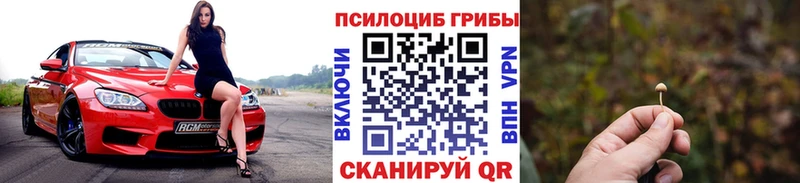 Галлюциногенные грибы прущие грибы  Динская 